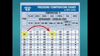 Video (training): pt chart 101