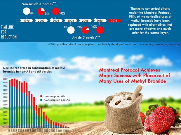 Decline Reported in Consumption of MBr in A5 and Non-A5 Parties