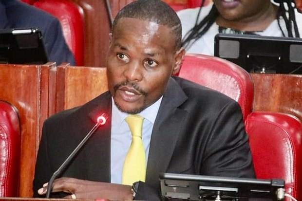 Kenyan Parliament uged to ratify key environment treaties