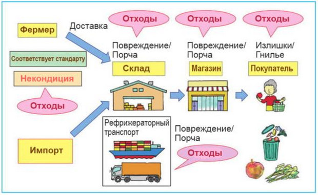 Пример утилизации фруктов и овощей