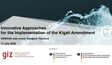 In­no­va­ti­ve Ap­proa­ches for the Im­ple­men­ta­ti­on of the Ki­ga­li Amend­ment - OEW­G44 si­de event re­cor­ding