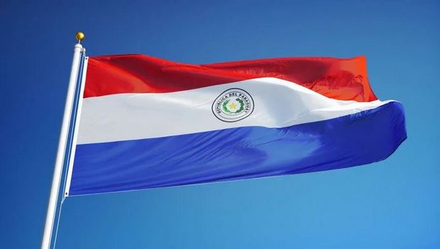 Paraguay favors ammonia for industrial sector