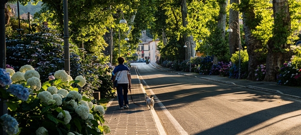 UN launches challenge for cities to harness the power of nature for cooling