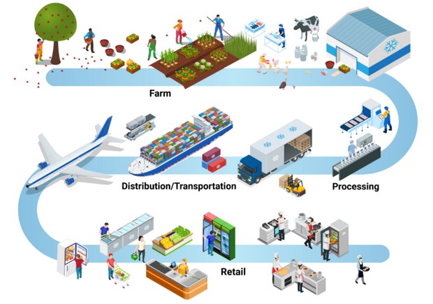 A virtual showcase for the cold chain